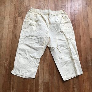 cathy daniels plus size pants